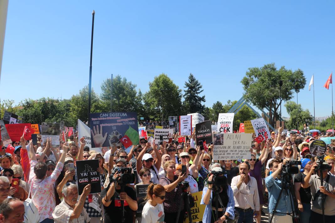 Hayvanseverlerden sahipsiz sokak faaliyetleri düzenlemesine tepki 7